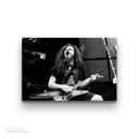 Dimebag Darrell Glass Wall Art