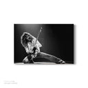 Eddie Van Halen Wall Art